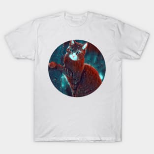 Beloved mycat, revolution for cats T-Shirt